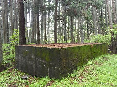 �������i���j